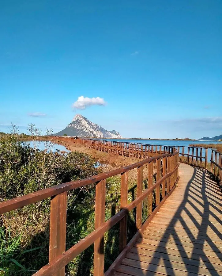 Hotel Almasarda Olbia